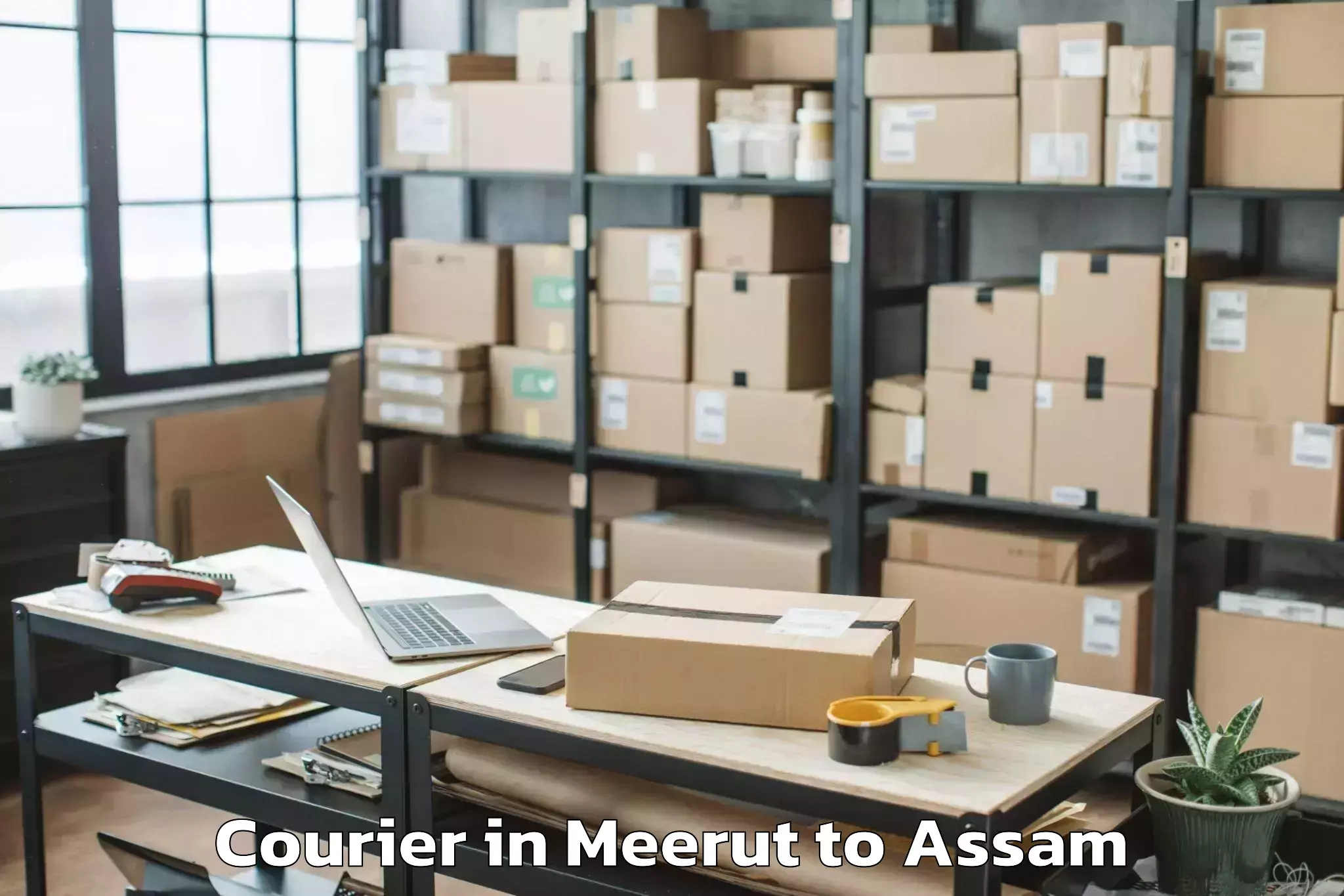 Quality Meerut to Kharupatia Courier